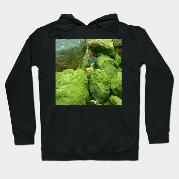 Green rocks Hoodie by robelf